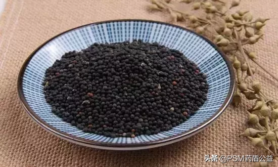 奶水不足怎么办？这几种中药材，通乳下奶效果佳