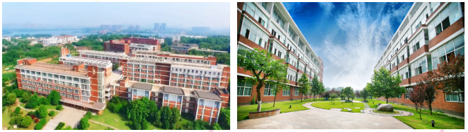 技能高考来啦！2020遇见你，将是外语外事学院最美的期待