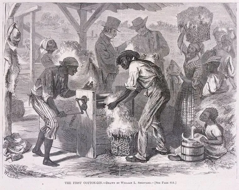 美国往事：棉花、奴隶与世界经济