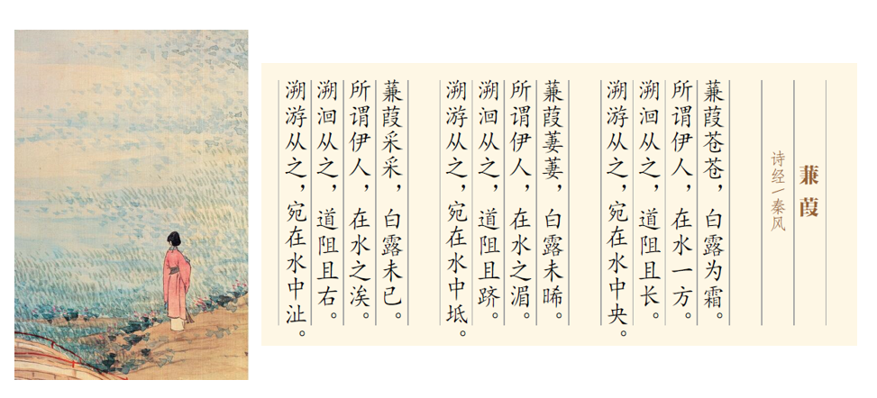 自然之美：风霜高洁，秋天的霜、露、雾
