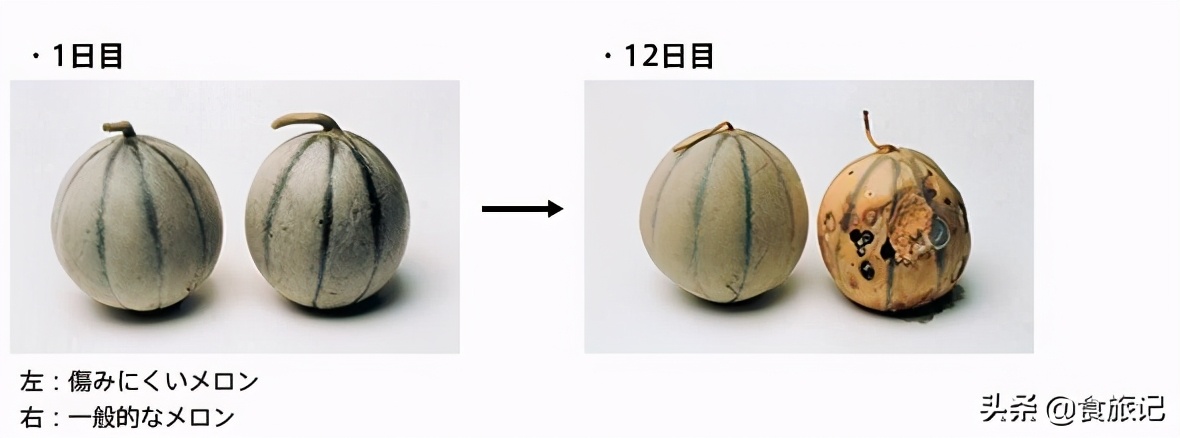 真情永不变，大宝天天见！80后90后，第一支护肤品绝对是它