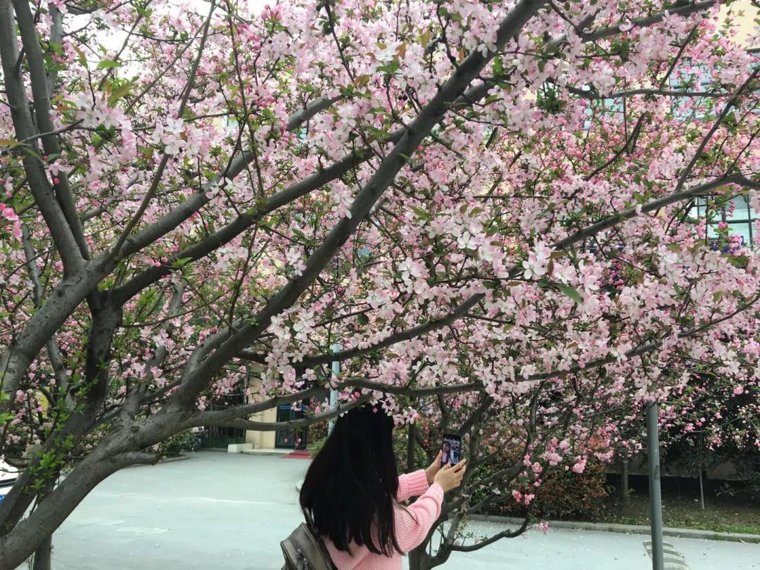 考研院校说 | 同济大学：同舟共济，同济古训！