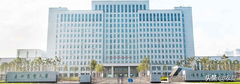 黄贺，东北农业大学动物遗传育种与繁殖系副教授，动物繁殖专家