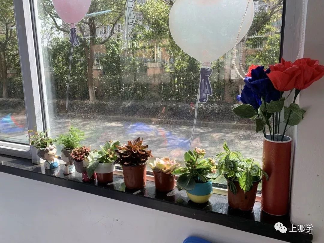 上海3所特殊民办！招收地段班，对口这些小区