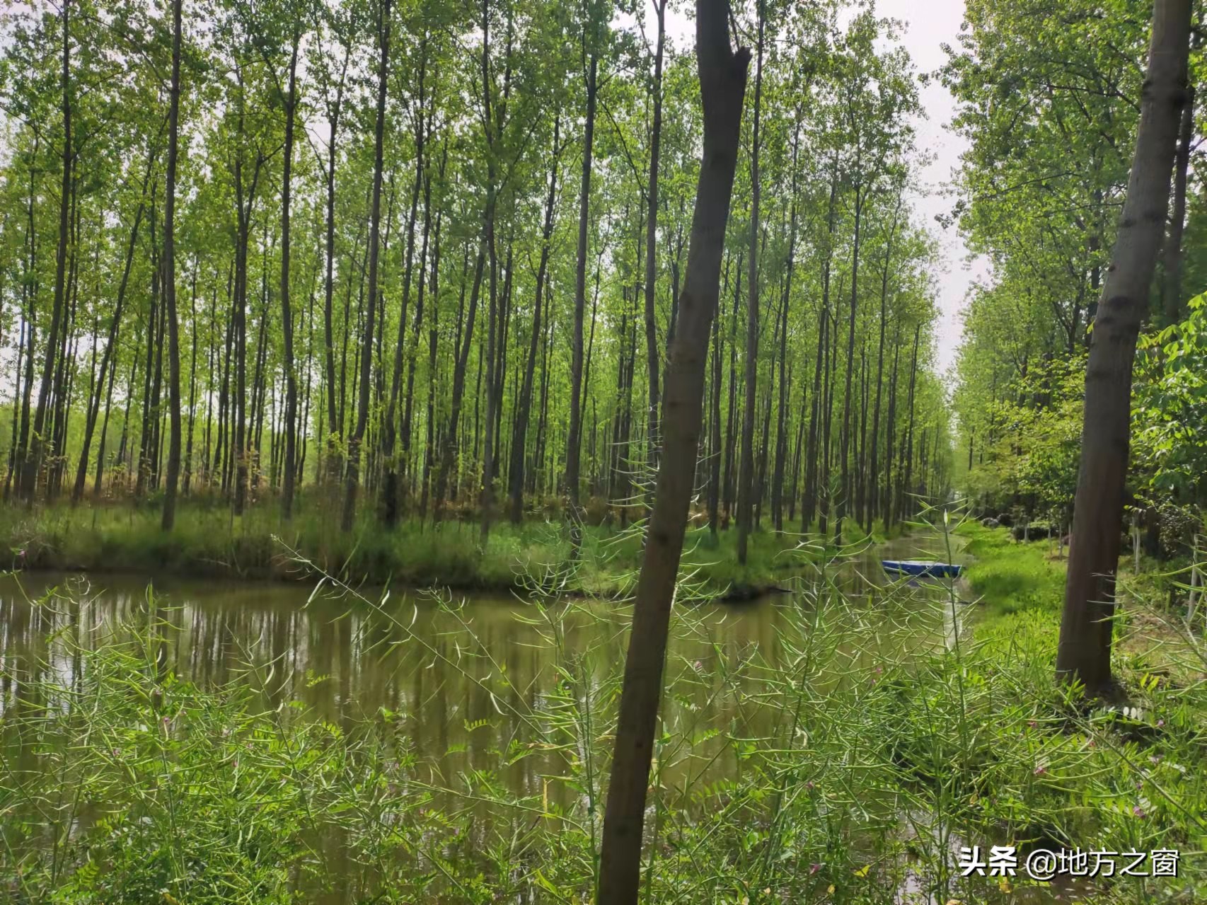 来合肥旅游，如何不花冤枉钱？请记住这3个景点