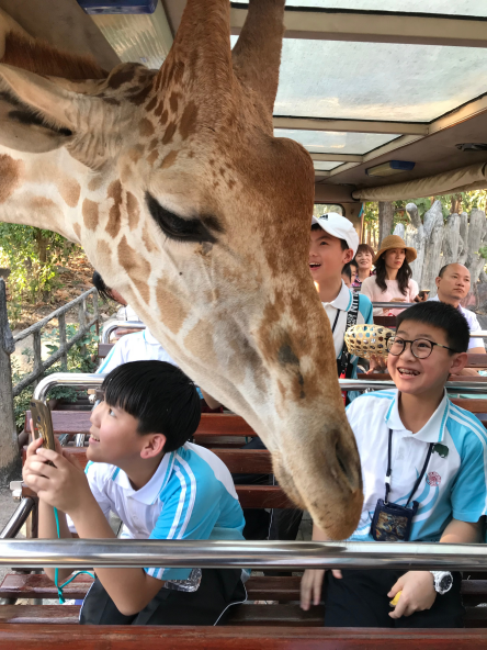 六升七资讯丨北京大学南宁附属实验学校2020年初一招生简章