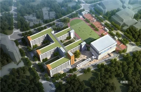 所有厦门人，你从小读到大的母校现在还在吗？