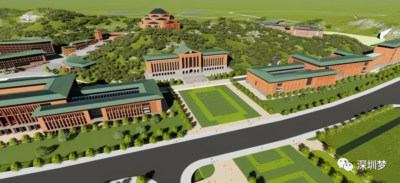 定了！中央支持，深圳第5个医学院！对标国际，面向全球招院长