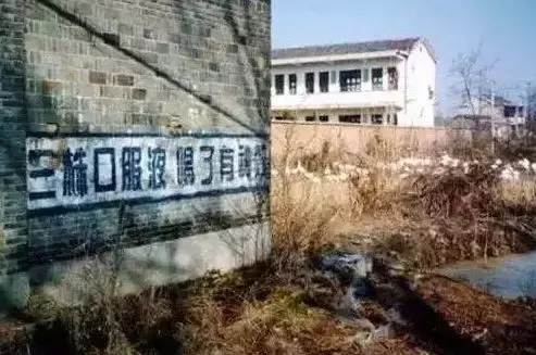 权健“被查”,可保健品还在祸害中国老人