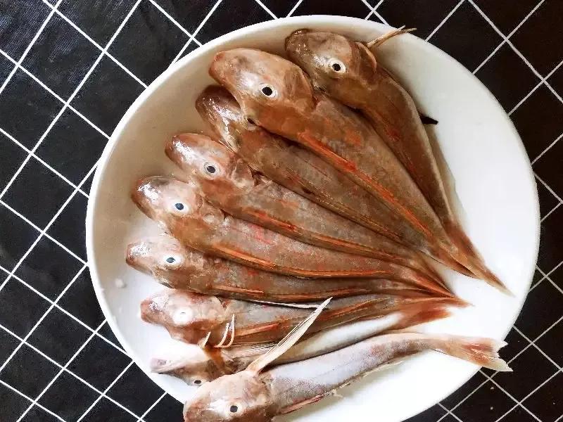 红娘子鱼也叫"红鞋鱼","穷头鱼",它是春季常见的海鱼品种,也是海鱼当