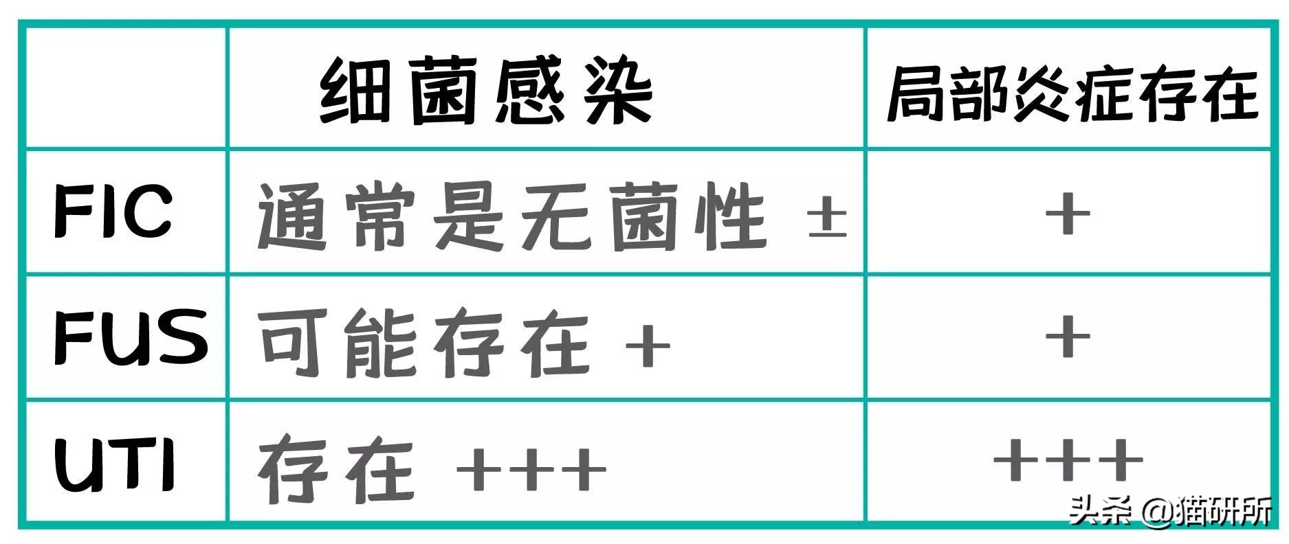 尿闭、尿血...猫咪泌尿问题反反复复，可能是弄混了这3种病