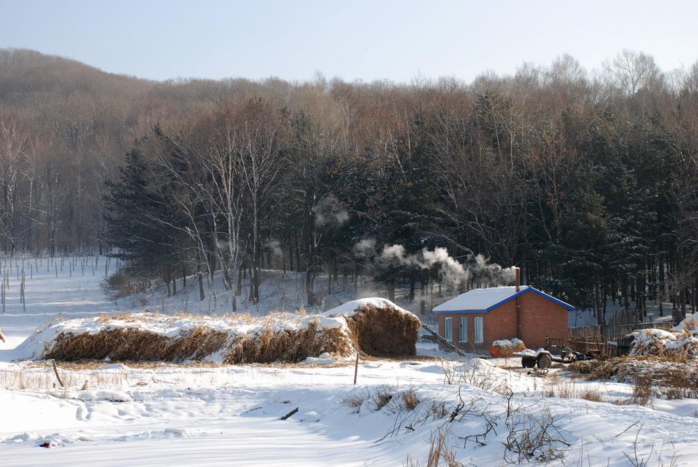 1986年东北大案：列车爆炸33人丧生，嫌犯竟然是一个漂亮女青年