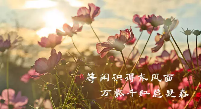 10首带颜色的诗词，赋予了色彩不一样的诗意，美得令人陶醉