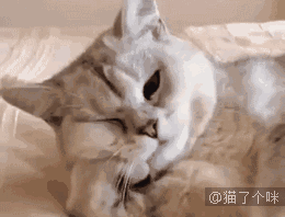 2020版最新法官、检察官表情大全！哈哈哈