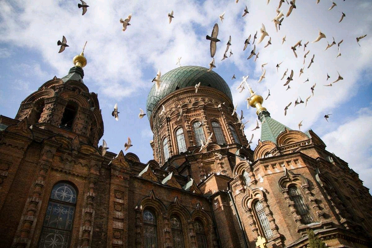 走进我的家乡,一座具有欧洲风情的北方城市,开启夏季凉爽之旅