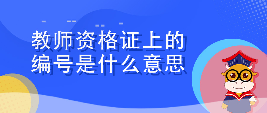 教师资格证上的编号是什么意思？