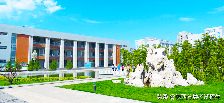 渭南职业技术学院2020年示范高职院校单独考试招生章程