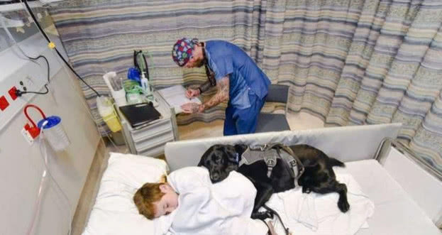 自闭症男童医院里检查，狗狗暖心陪伴左右，医生都被这一幕感动了