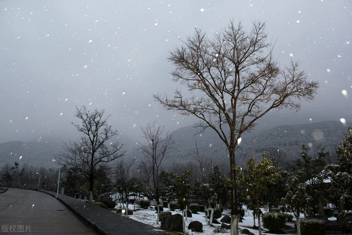 重阳到，俗语“重阳无雨一冬晴，重阳下雨一冬凌”，下雨好不好？