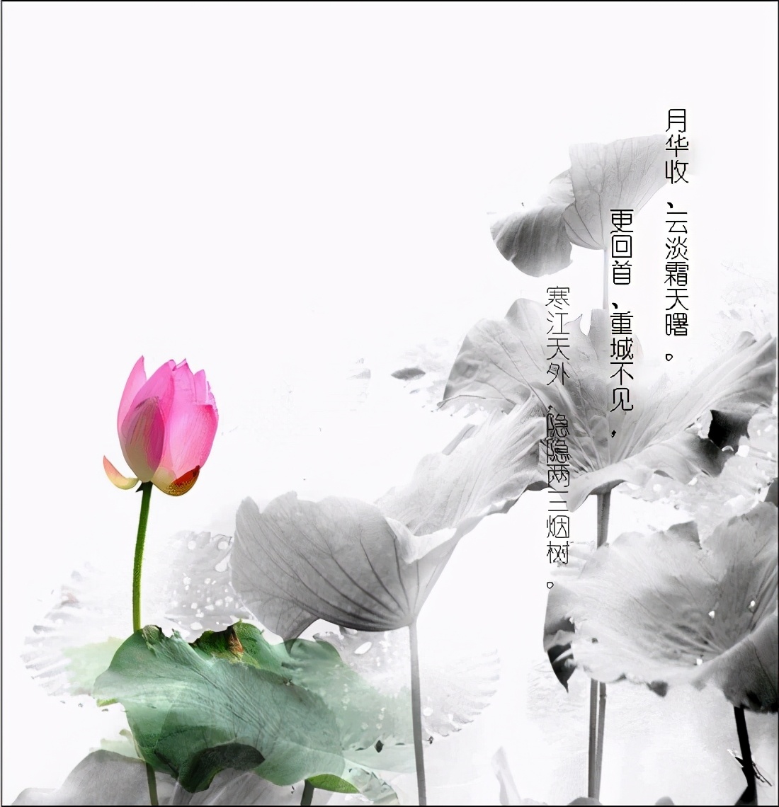 唯美古风，诗情画意，让人一醉文学海洋