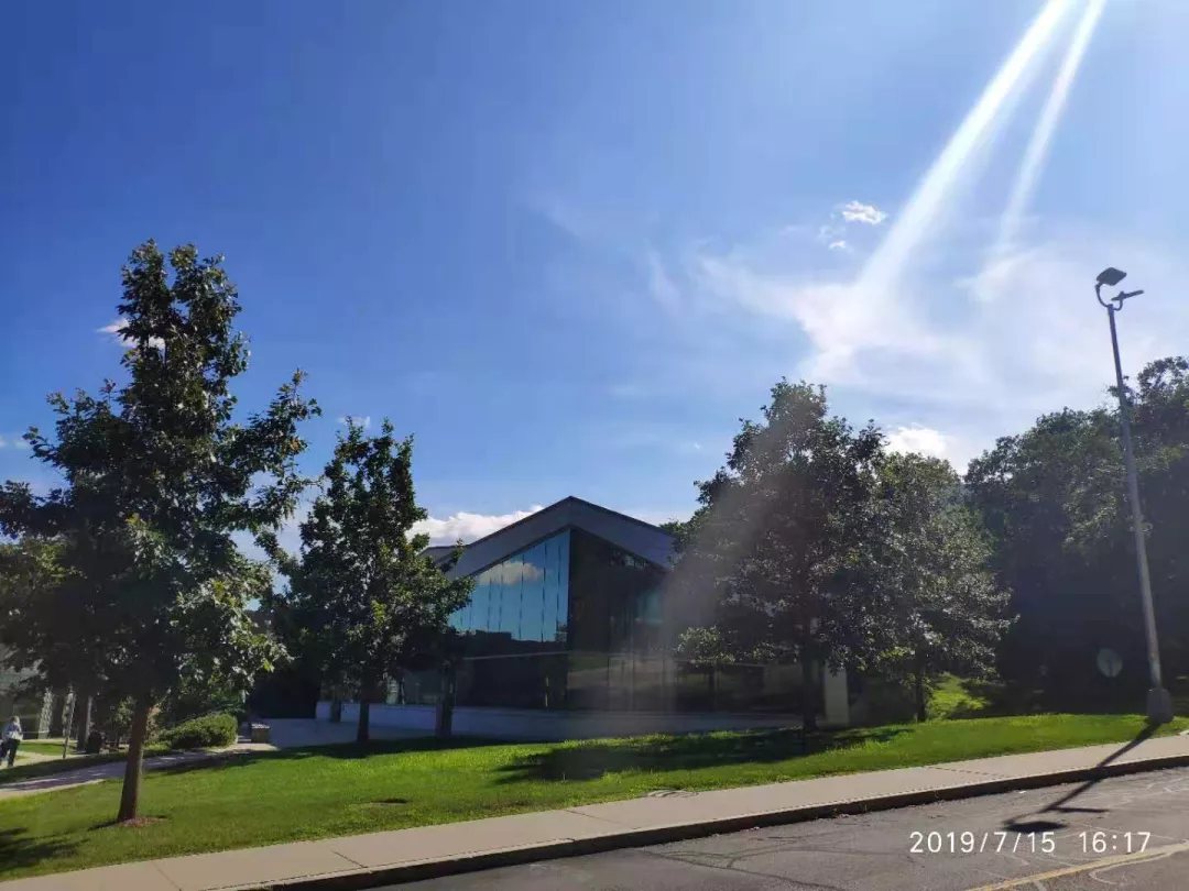 网课值不值？疫情期间，我在布兰迪斯大学的就读体验