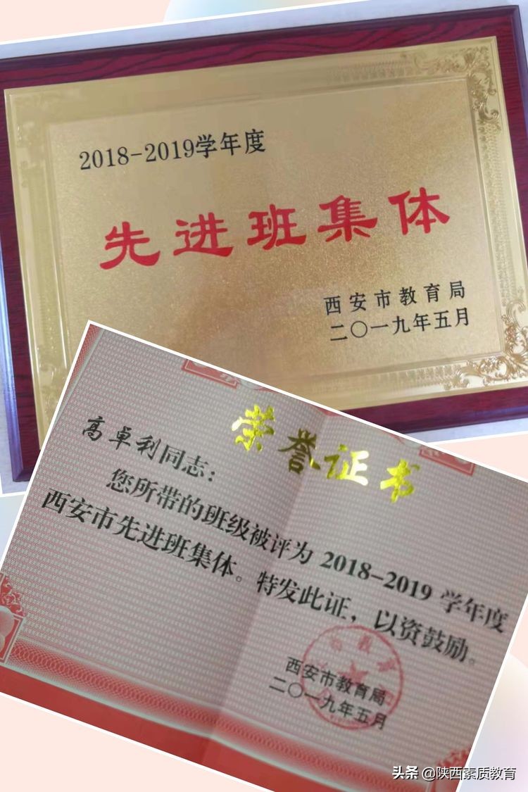 春风化雨浓 砥砺教育真——记西安市高陵区鹿苑中学教师高卓利