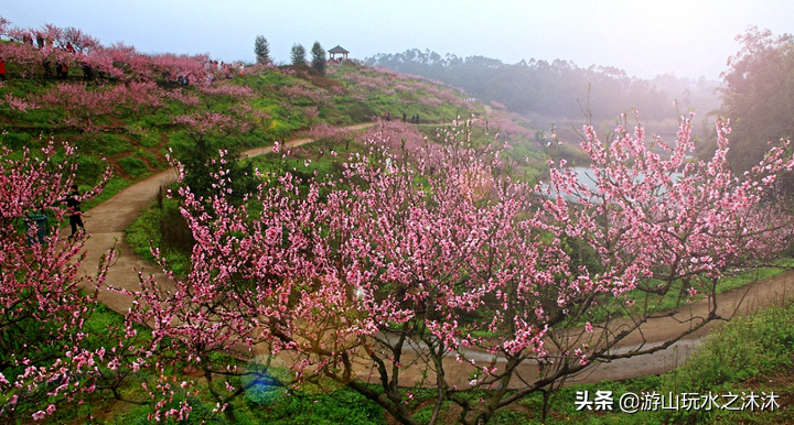 永川吃喝玩乐旅游攻略，永川美食推荐，永川免费景点推荐