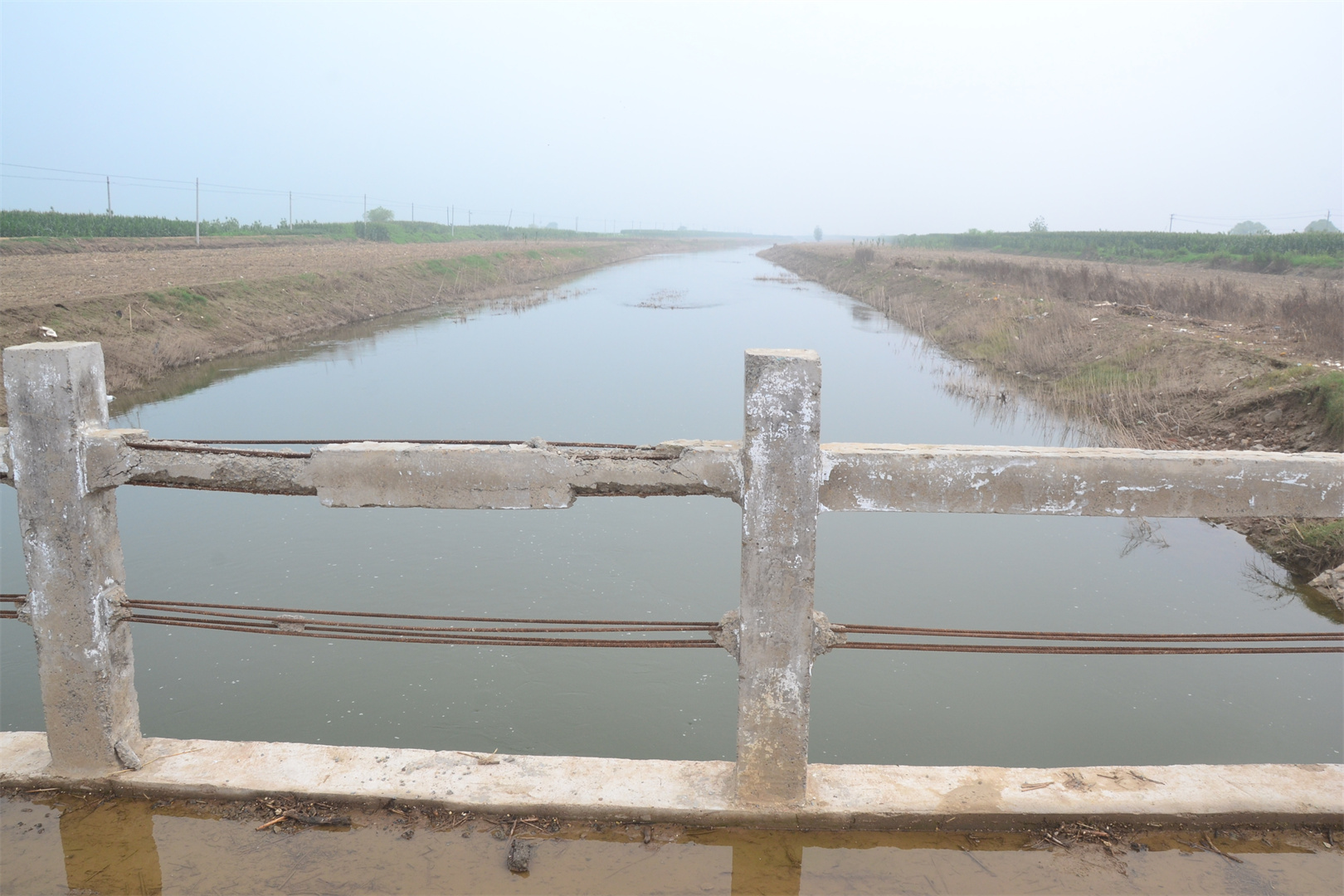 下面图片是洺河在鸡泽县境内开口子的河段