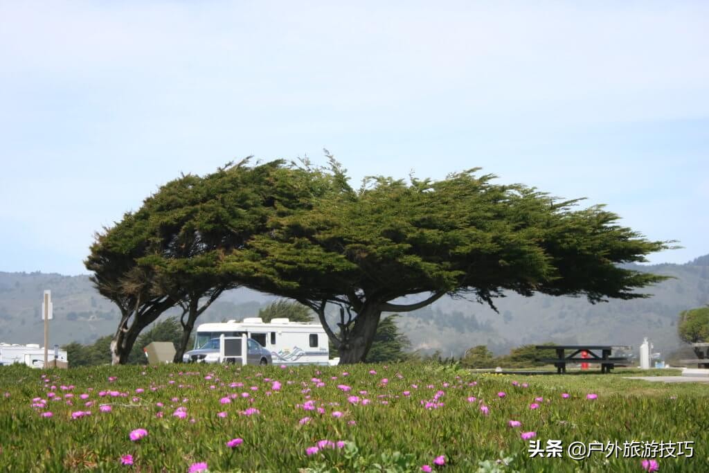 辨别方向的方法还有哪些,辨别方向的方法还有哪些一年级