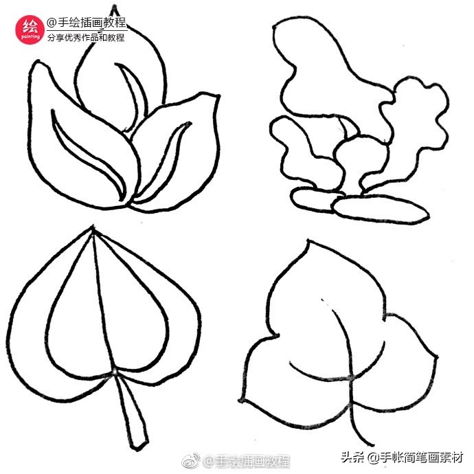 36种叶子的简笔画素材~值得收藏