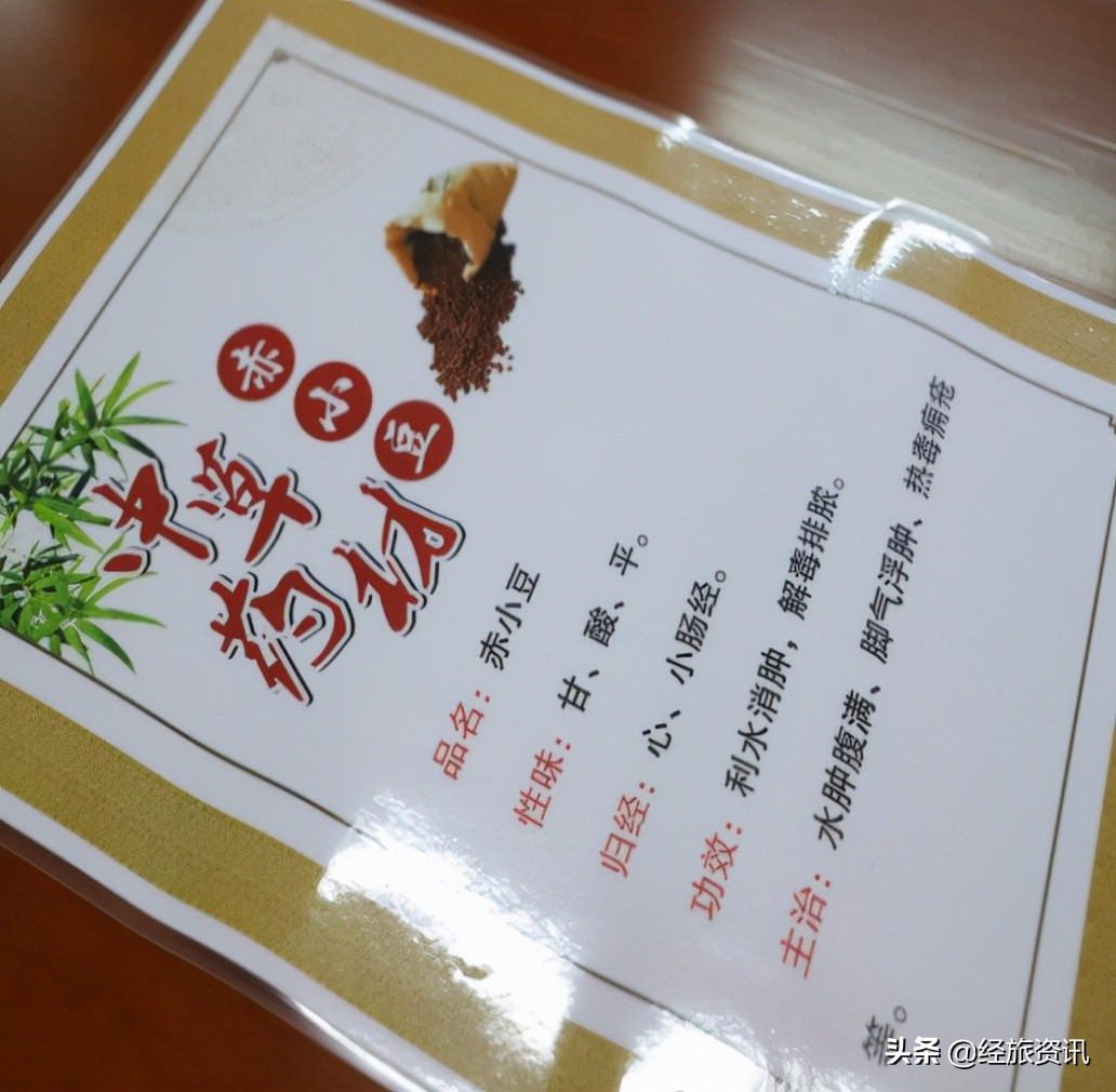 薪火传承中医药，科普讲座进校园