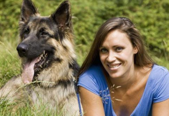 护卫犬有哪些品种排名，适合家养的七种护卫犬排行榜