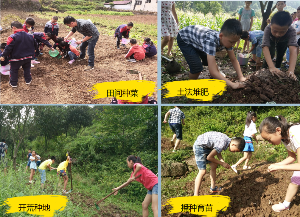 「分享荟全纪录」张平原：乡村一样可以办出好学校