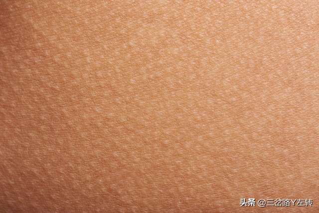 不要错过：身边的科学小知识十则