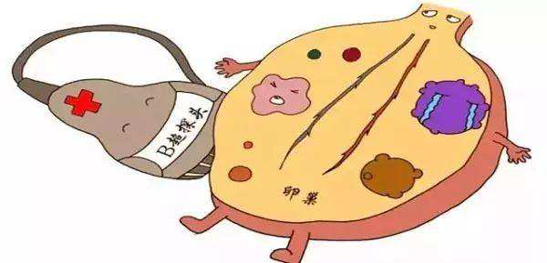 很多女性有高催乳素血症，病原可能在脑子里