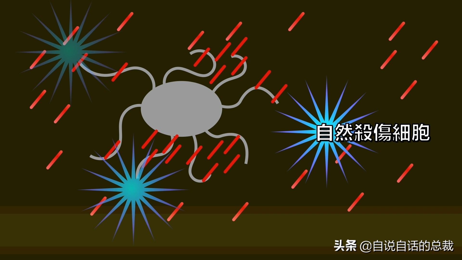 埃博拉：人类的诅咒，你的身体如何对抗它，它到底有多恐怖