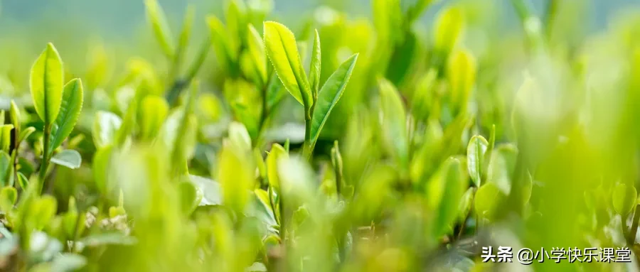 100首春天唯美古诗词（值得收藏！）