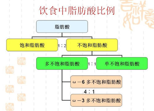 人人都在说减肥，但脂肪又不可或缺，效价比高又健康——亚麻油