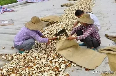 全国最贵的陈皮有多贵?50克一万元