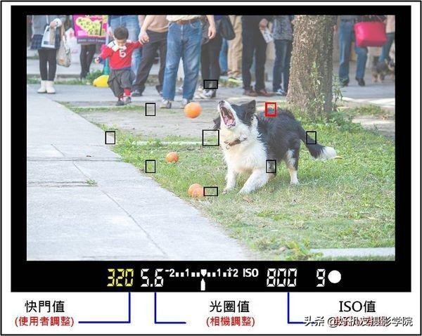 新手能快速上手的光圈與快門(mén)基本操作-佳能篇