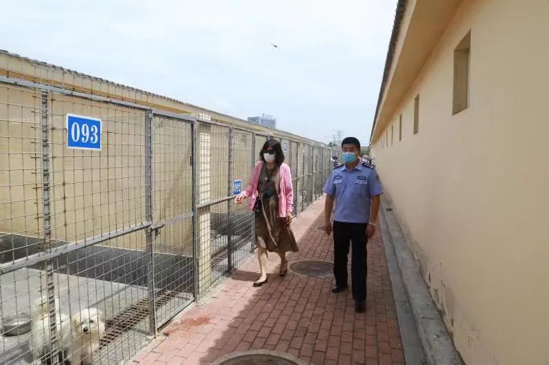 大连宠物市场在哪里