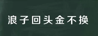 特大涉黄直播团伙被捣毁，涉案金额2.6亿