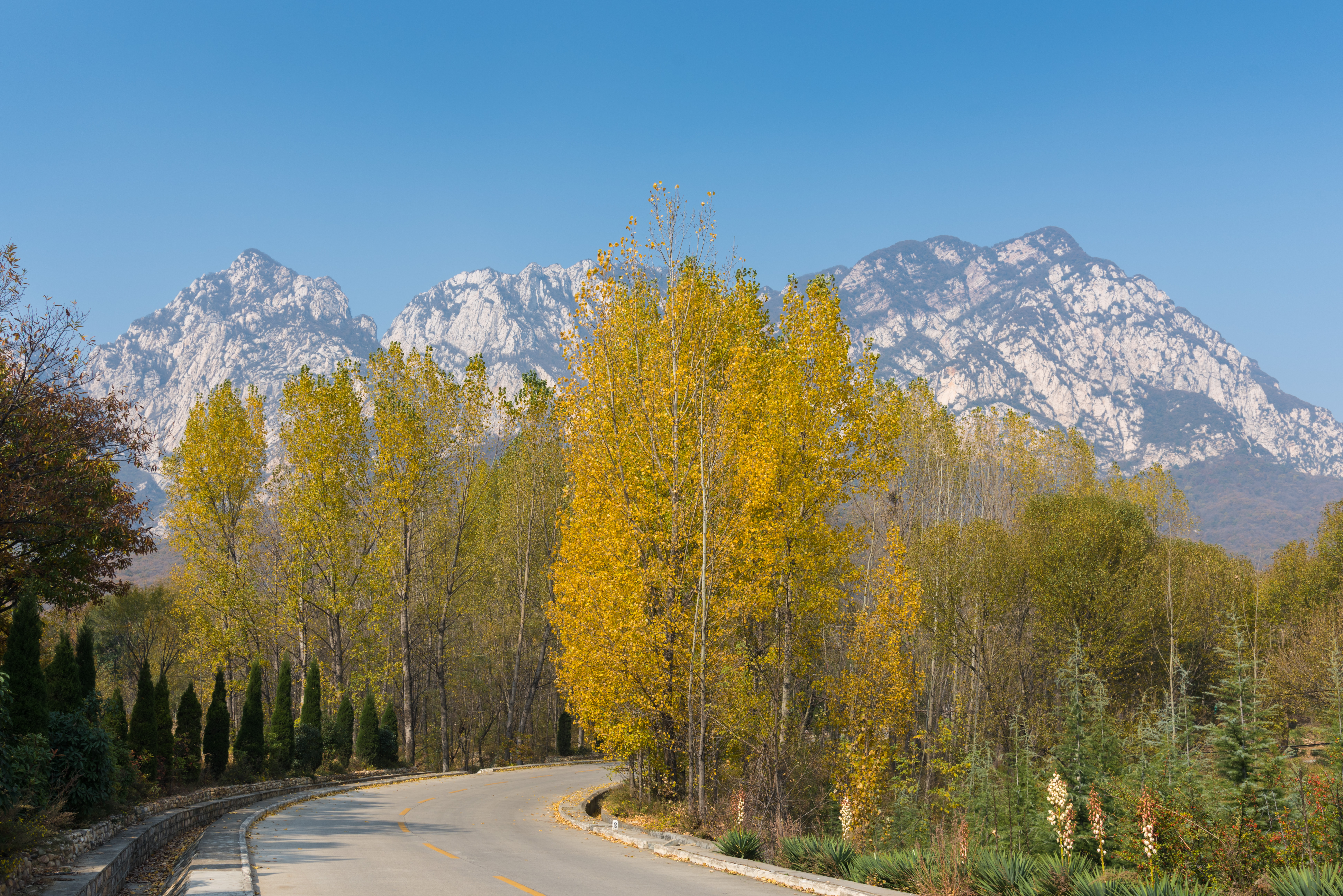 元好问在嵩山时的诗文交游