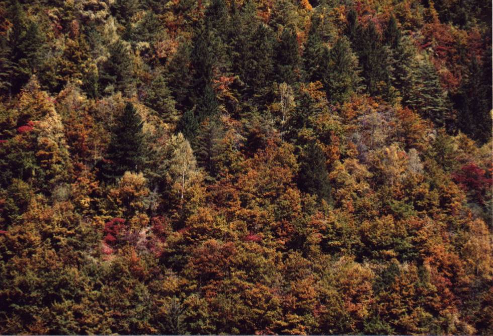 怎样理解生态系统结构