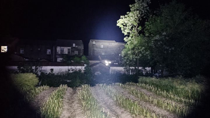 这是一份手电清单，分享我用过的4款品牌手电