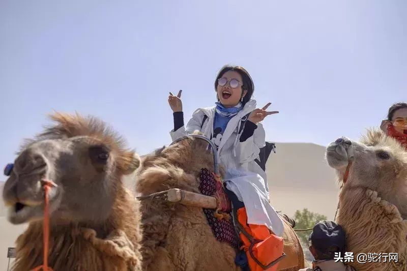 敦煌——瓜州6天5夜大敦煌游学之旅最全攻略