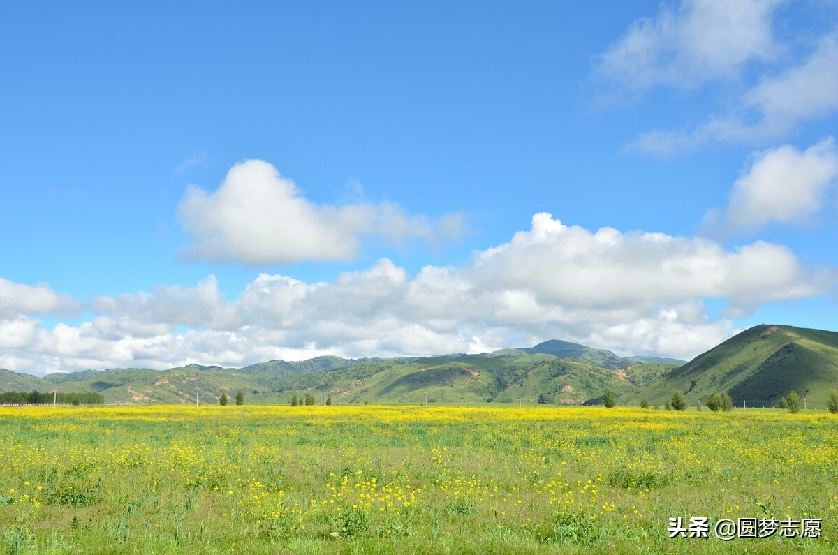 这所211大学最好考，但地理位置偏远，你敢去吗？