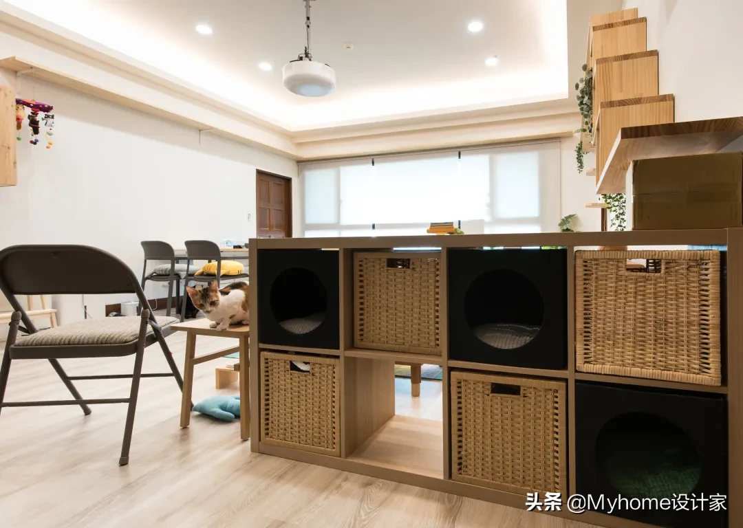 8只猫与人共住,舒适北欧风!竟是宜家爆改出租房!猫皇不亦乐乎