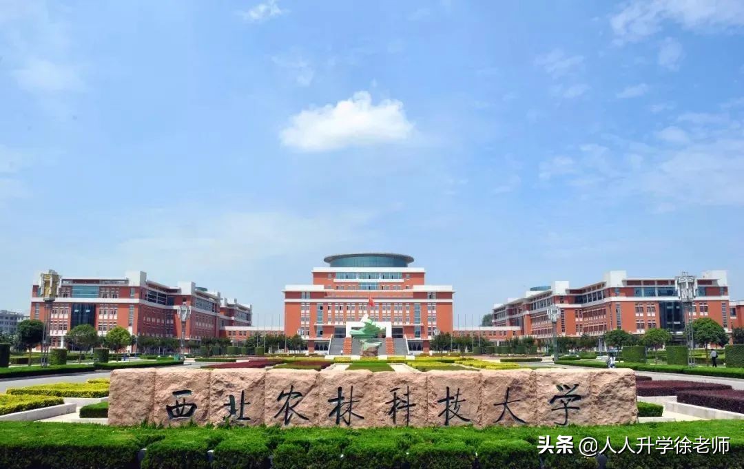 承认联考成绩的83所院校来了，艺术生必看