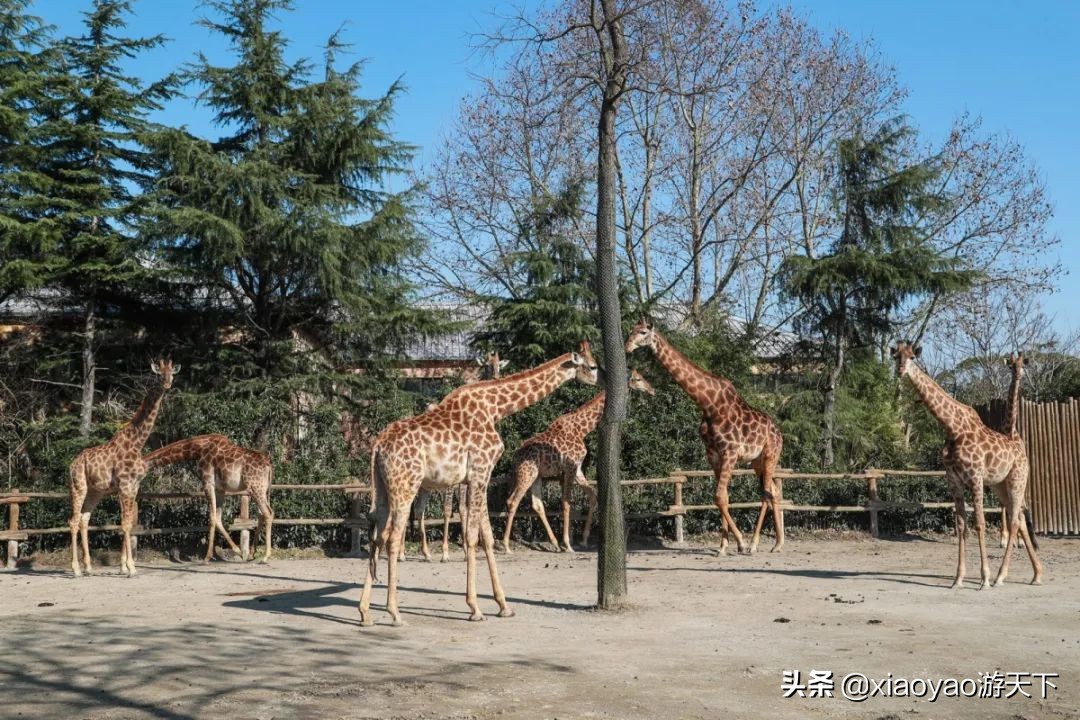 全国5A级旅游景区最新门票价格（上海、天津篇）